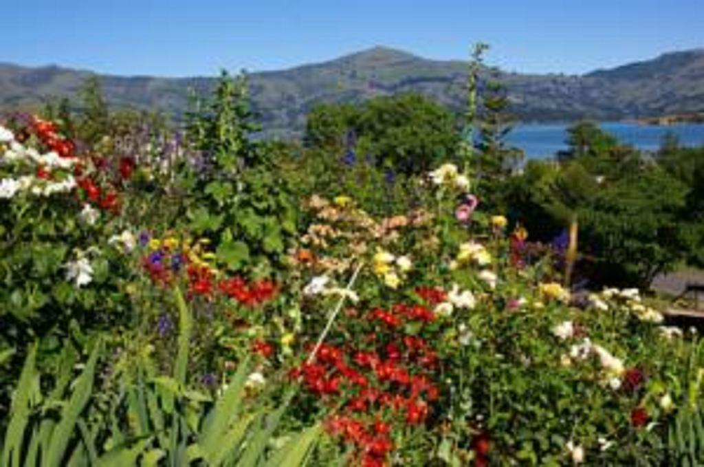 L'Abri Bed And Breakfast Akaroa Buitenkant foto