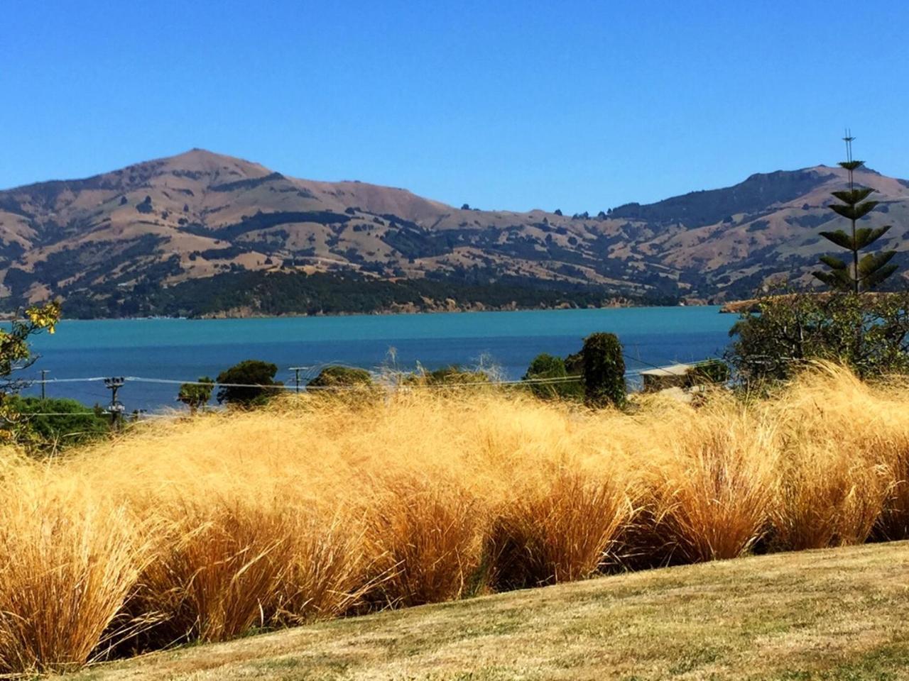 L'Abri Bed And Breakfast Akaroa Buitenkant foto